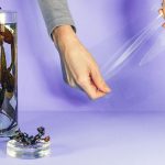 Reducción del plástico con alternativas de algas: innovación que protege el planeta